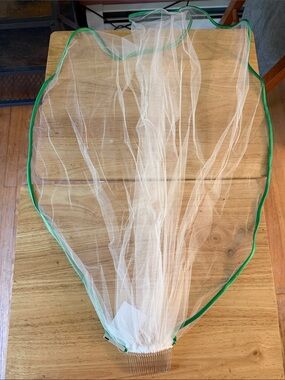 David's Bridal White Bridal Veil with Green Trim